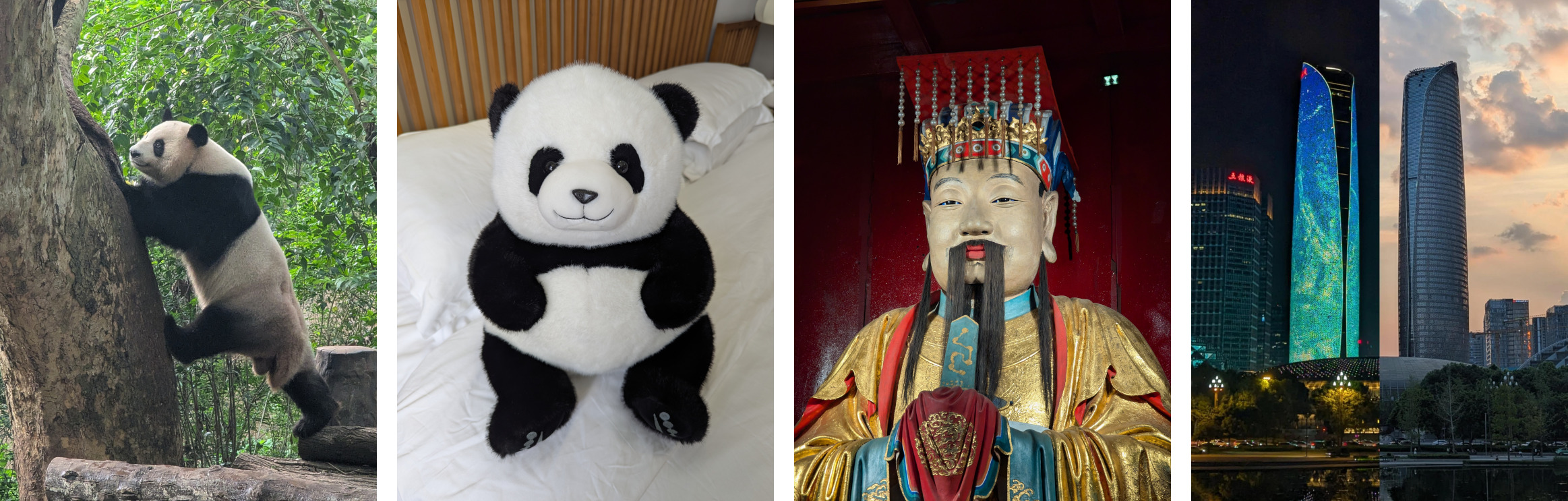 Collage of photos from Chengdu